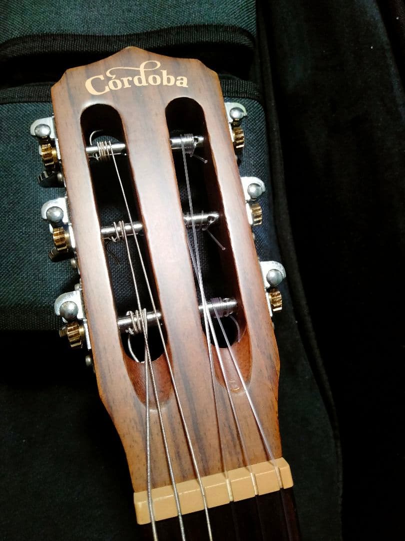 Cordoba Guilele CE ミニエレガットギター コルドバ 生産完了