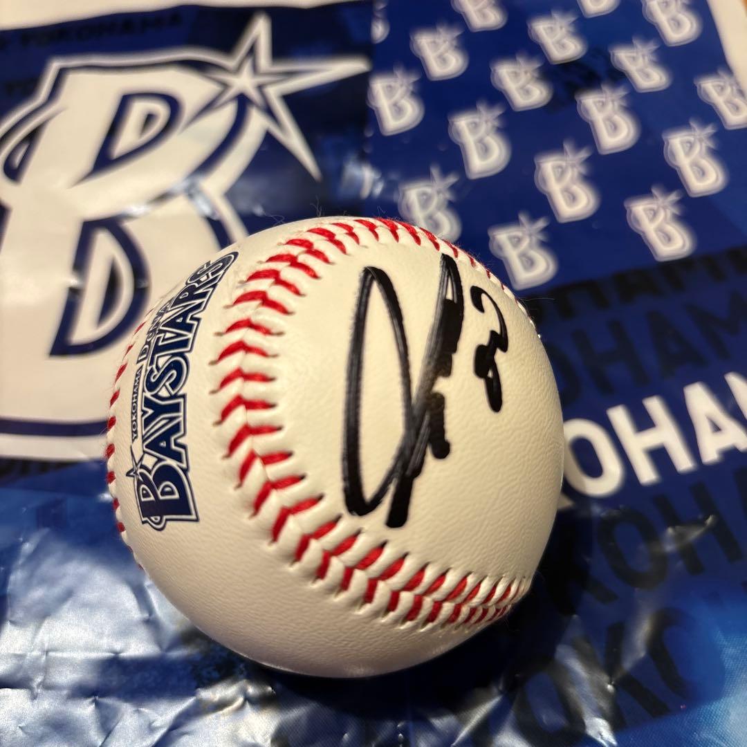 横浜DeNAベイスターズ サイン入り野球ボール 林琢真選手　00