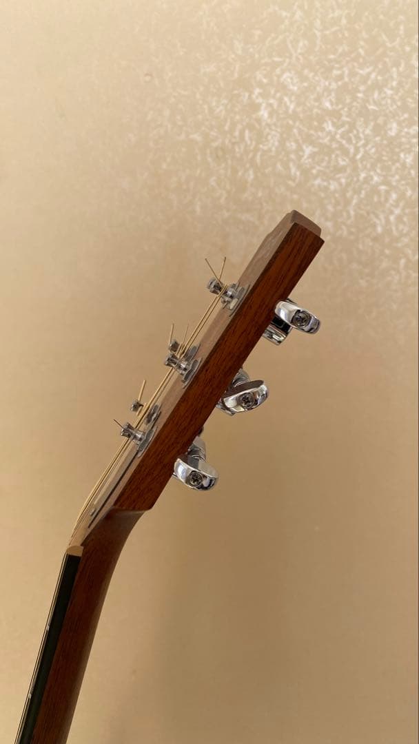 ギター Gibson G-Writer EC