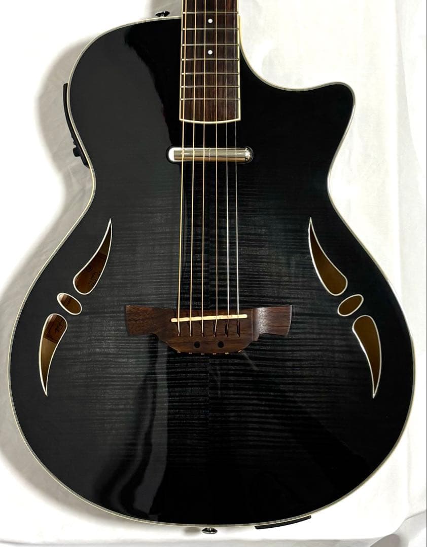 【新品弦張替済】CRAFTER エレアコ SA-TMBK L.R.Baggs