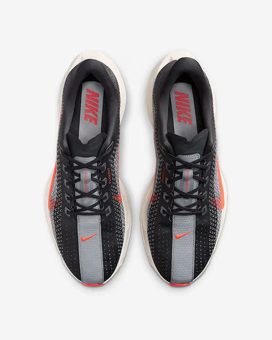NIKE PEGASUS PLUS メンズ　25.5 ¥22,000(税込)