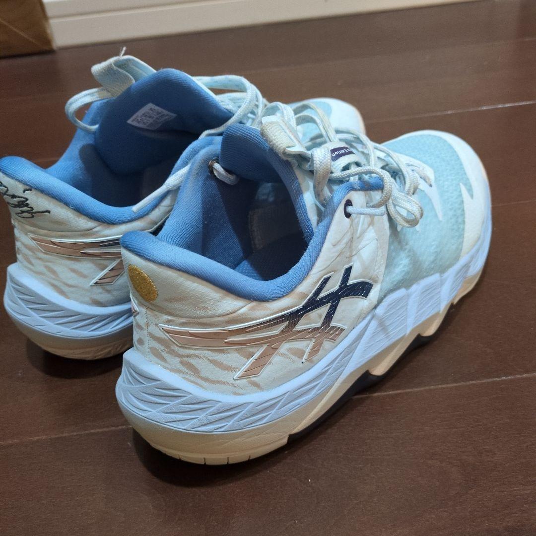 ASICS 　アンプレアルスローRT 25.0cm