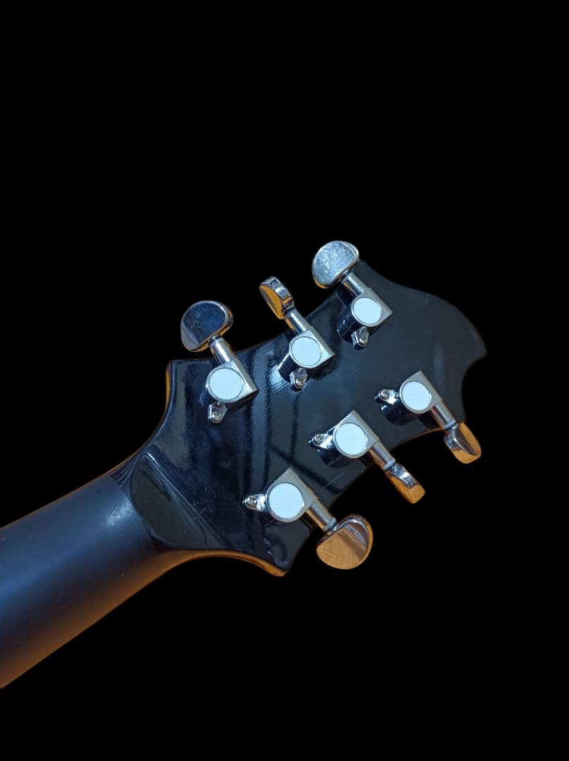 JAGUARピックアップ搭載 SUGIZO S-I brilliant