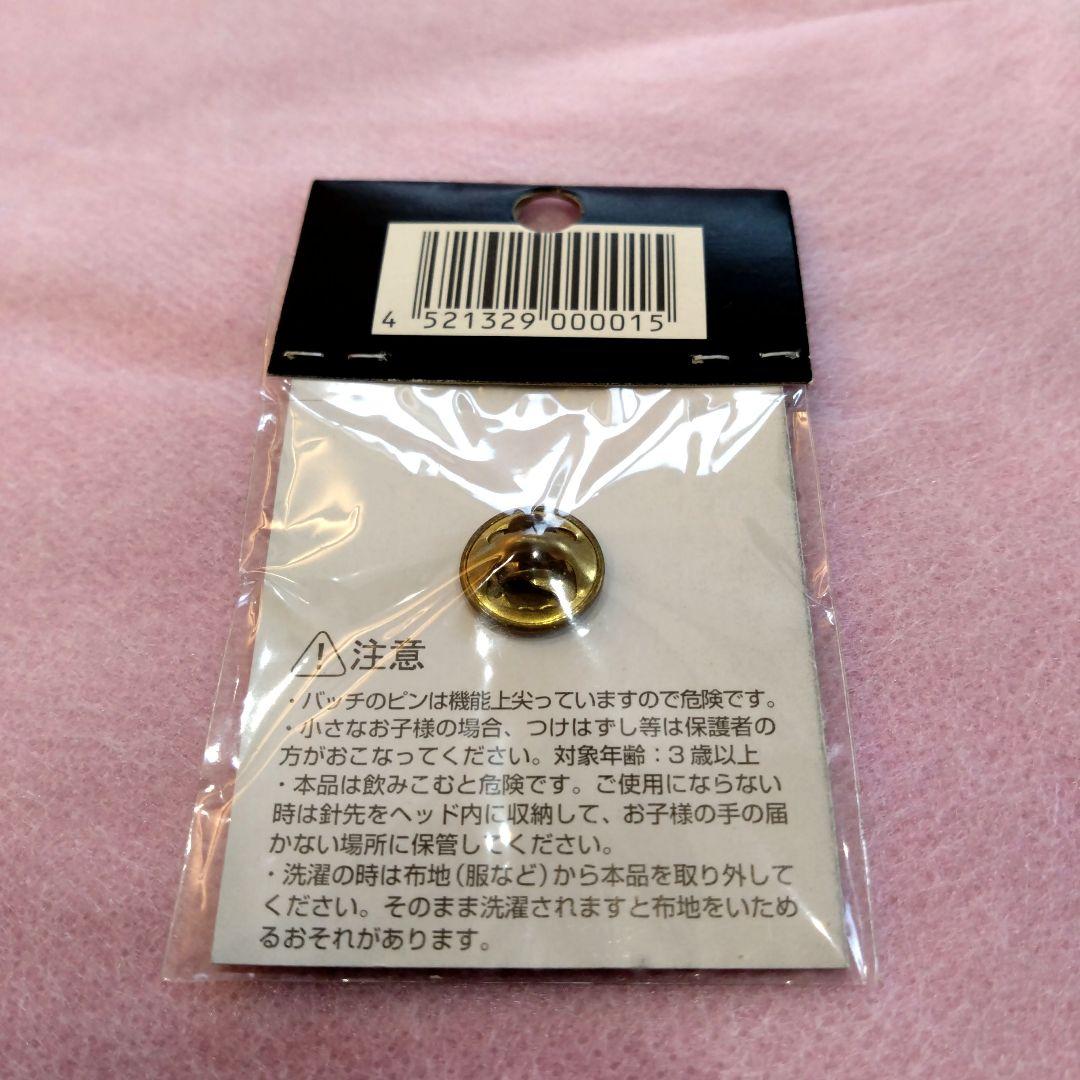 ポケモンセンター東京 ピンバッジ・ステッカーセット　２週間限定出品
