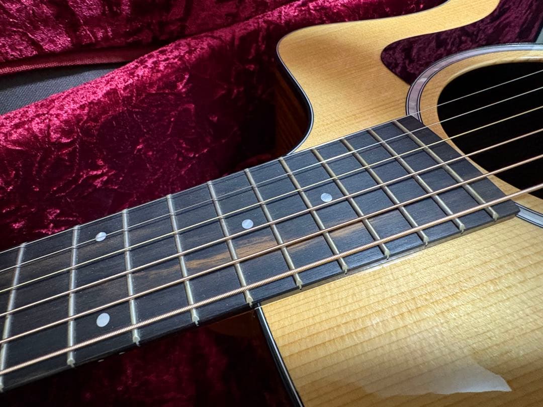 Taylor 214ce Plus ハードケース付き
