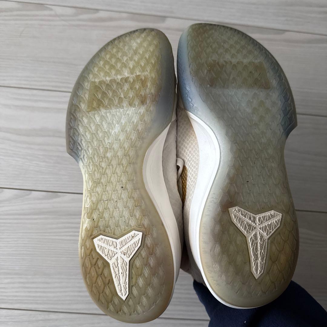 ナイキ マンバフォーカス 　NIKE　MAMBA FOCUS 26.0