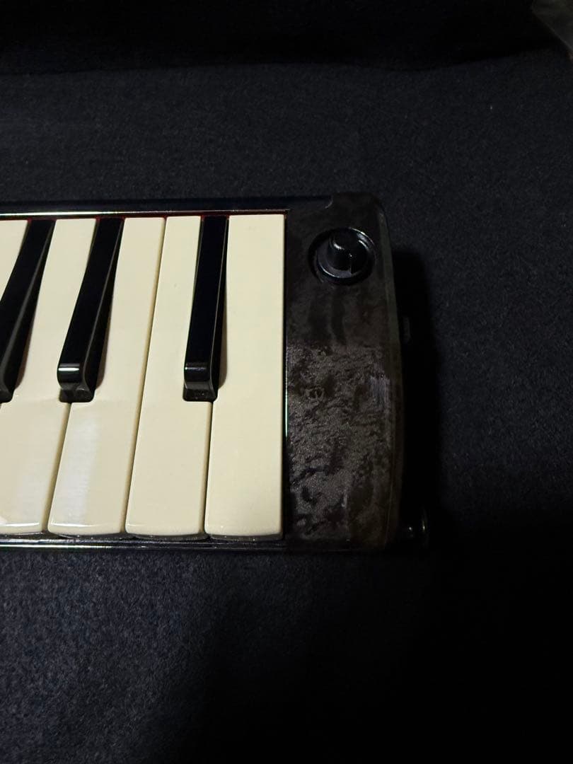 HAMMOND44 PRO-44HP(初代) (未使用マウスピース付き)