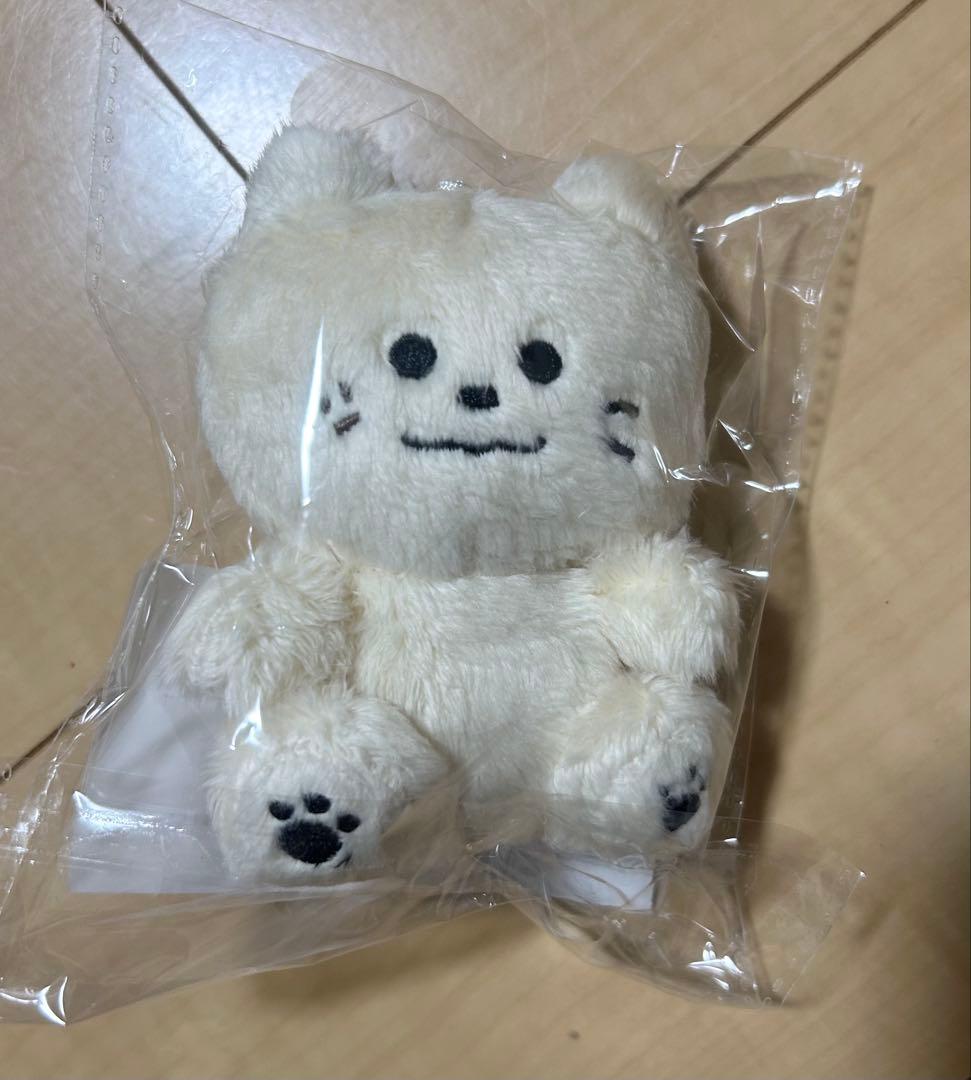 モッチャビン ぬいぐるみ マスター ASTRO ムンビン moonbin 韓国