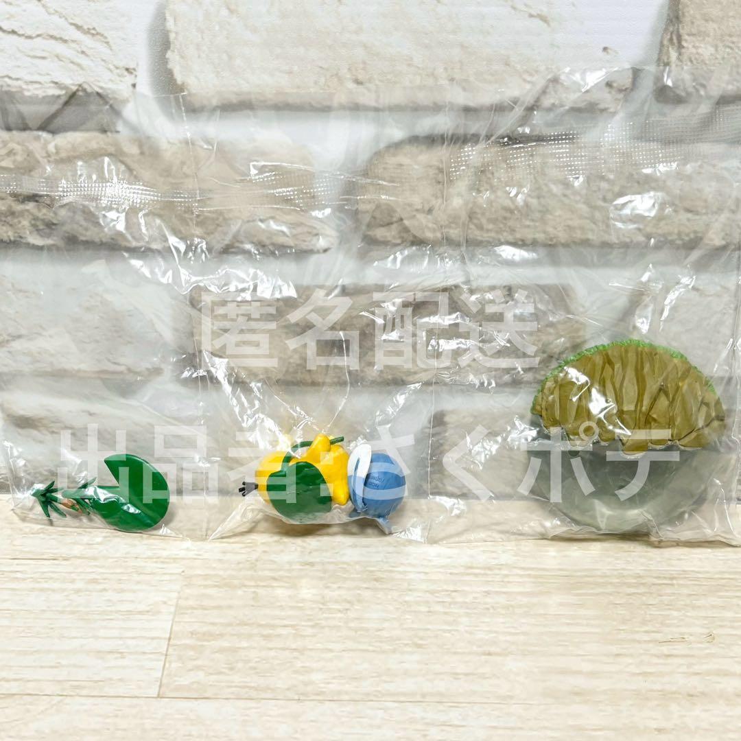 【ポケモンテラリウムコレクション2】3種まとめ売り　匿名配送