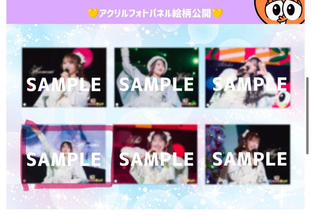 2026年春『組長くじ』会場Ver. 組長賞 小泉遥香