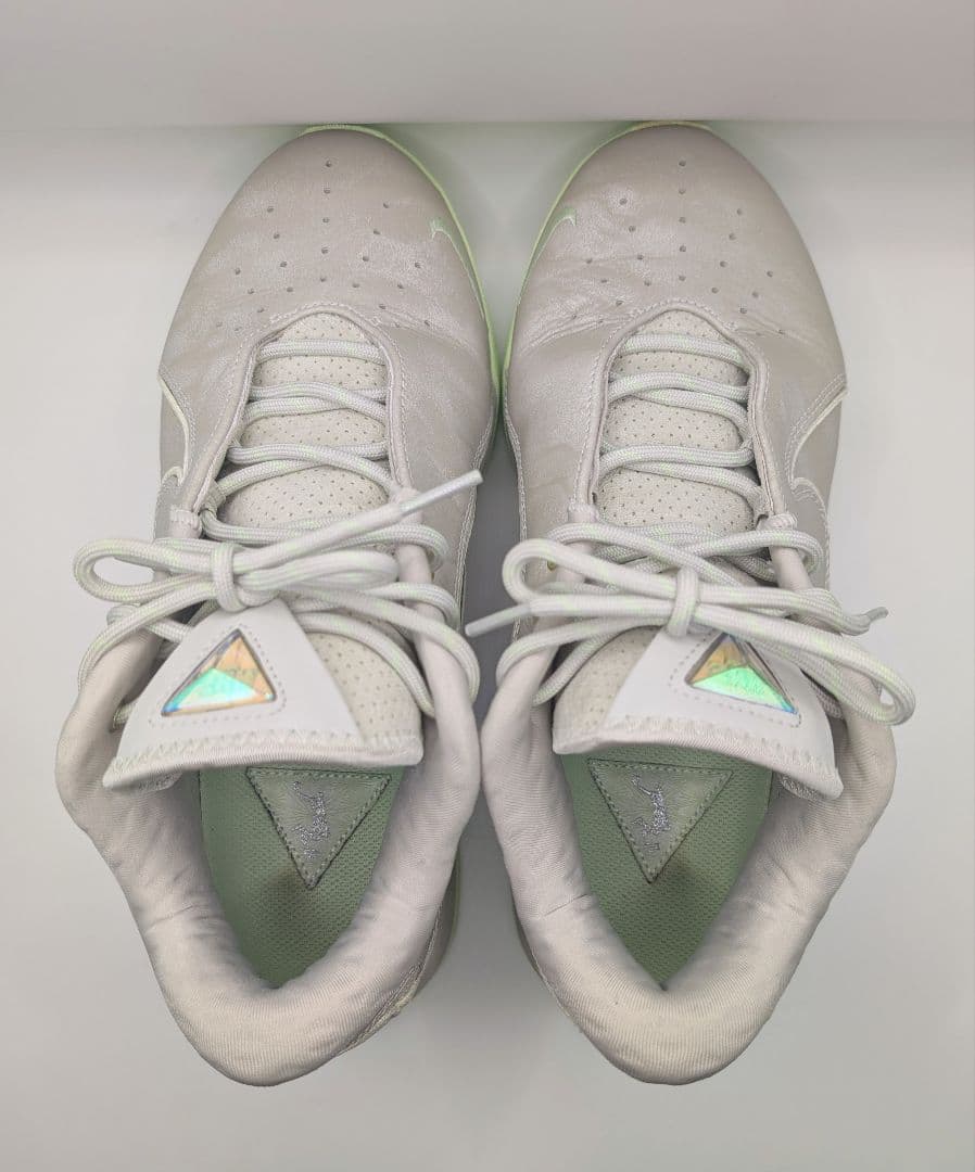 Nike レブロン22