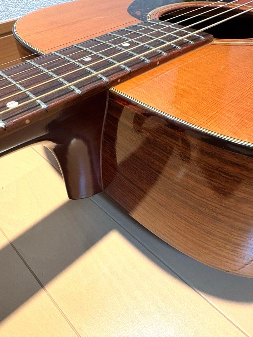 ギター Martin D-21LE MOD