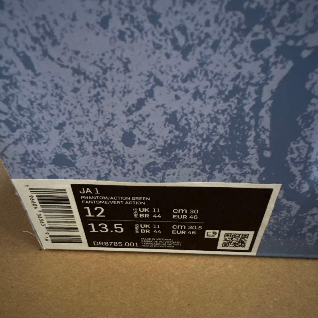 Nike Ja 1 “Family Trivia”（ジャ1 トリビア）30cm
