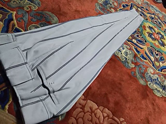 新品 Ｌサイズ ミズノプロ JAPAN 日本代表 ジャパン L寸 ロングパンツ