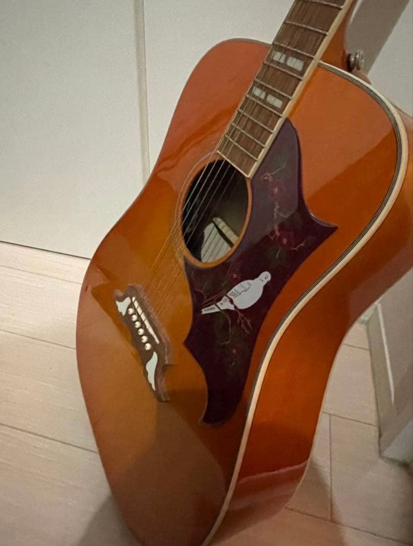 Epiphone DOVE Studio エレアコ