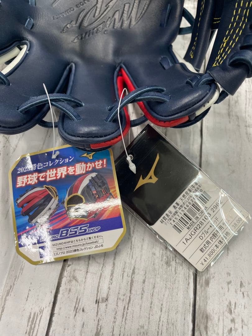 ミズノプロ 勝色Collection Dブルー×レッド 1AJGR28113
