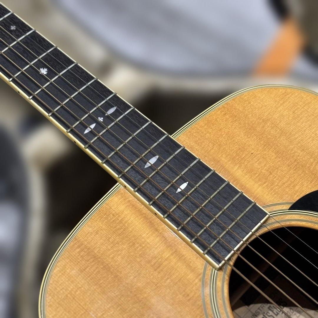 【希少】Tokai Cats Eyes CE-400ハードケース付　保証書付き