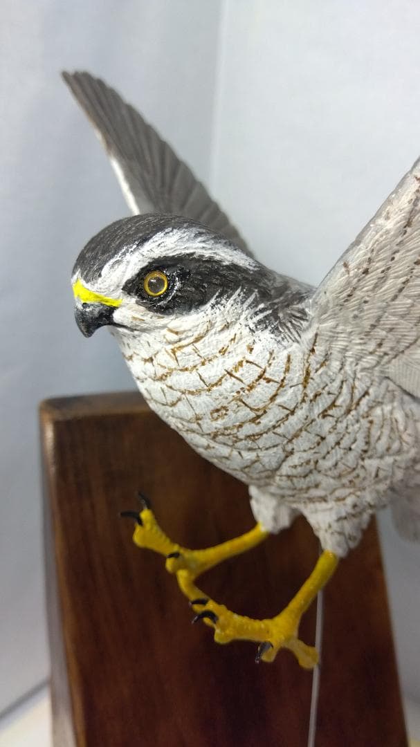 Kana　木彫りの鳥　オオタカ獲物捕獲直前