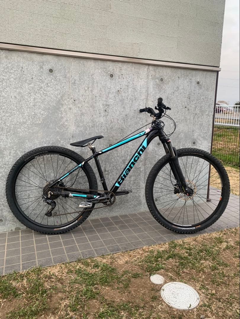 Bianchi magma 9.1 29インチ
