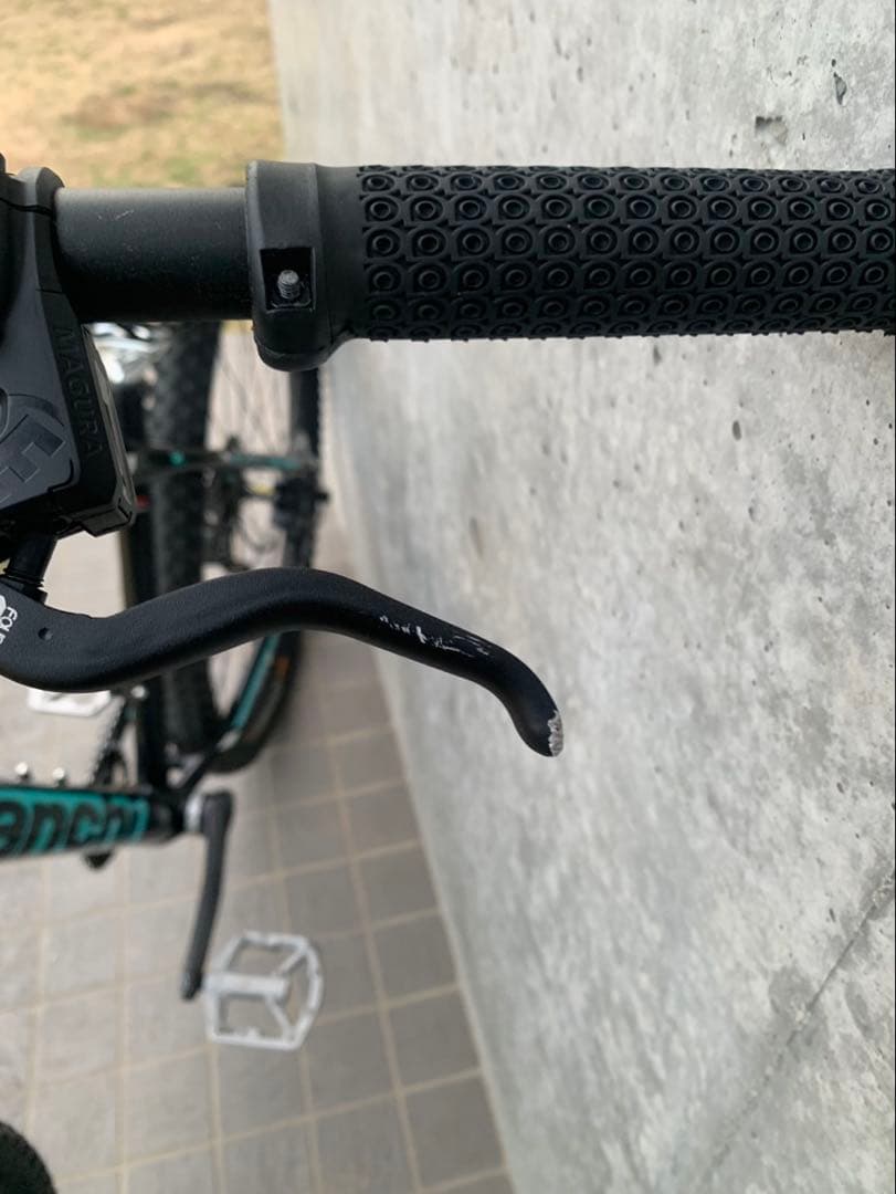 Bianchi magma 9.1 29インチ