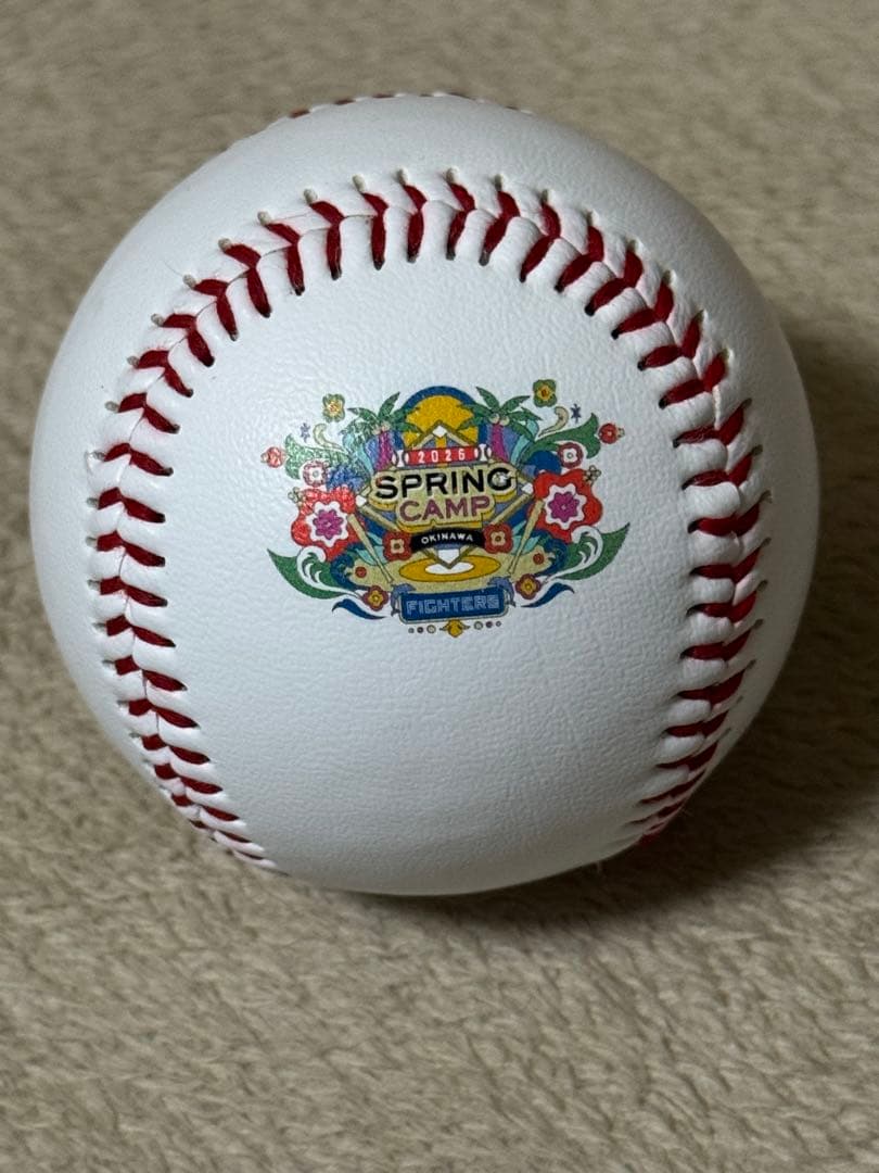 北海道日本ハムファイターズ名護キャンプ球　伊藤大海選手直筆サインロゴボール