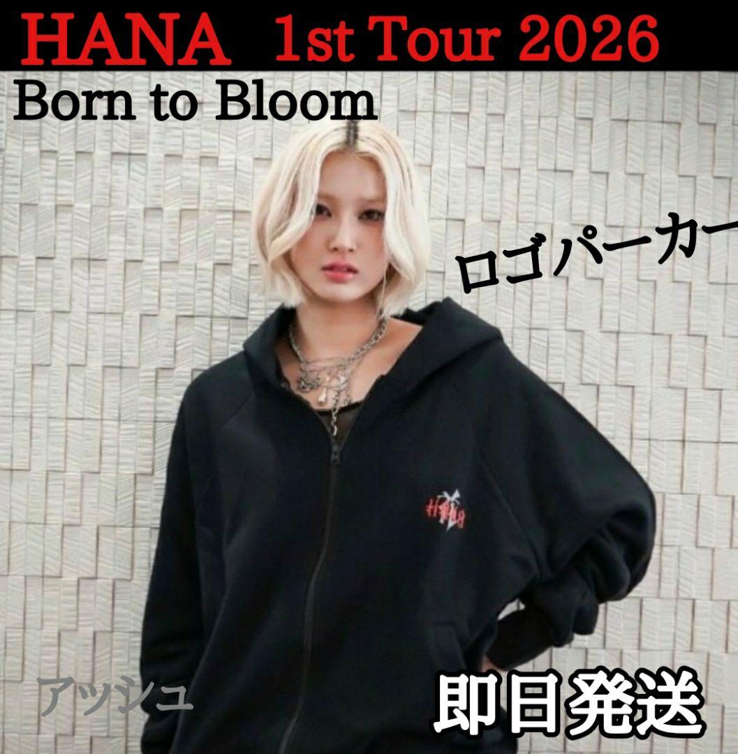 HANA ロゴパーカー　 ブラック 黒 フーディー Mサイズ