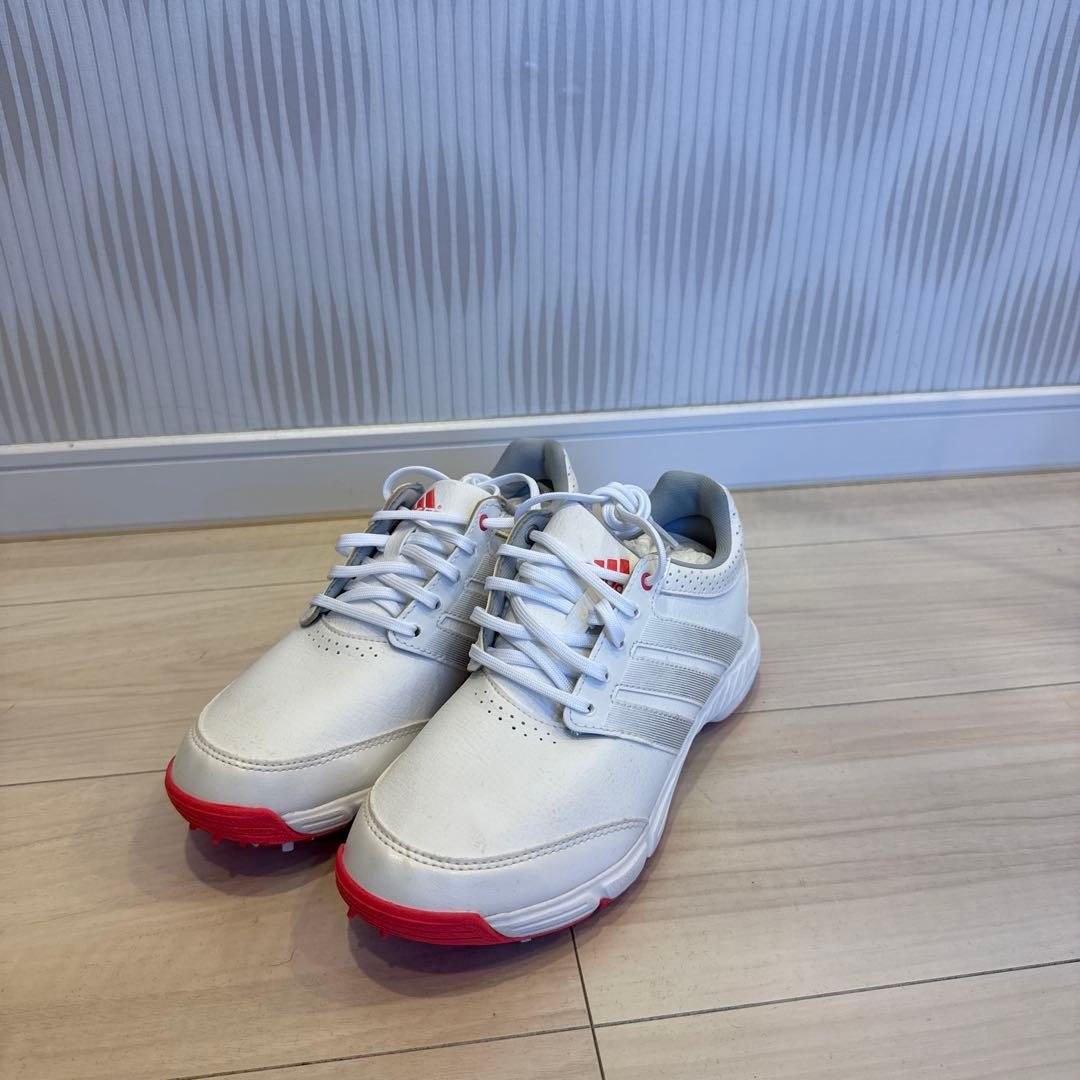 adidas レディース ゴルフシューズ　23.0cm
