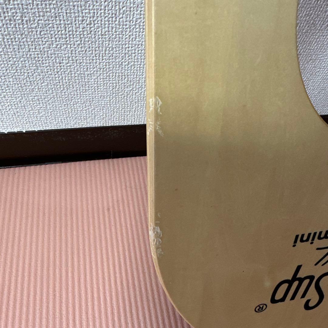 Land sup Crazy mini バランスボード　ランドサップ