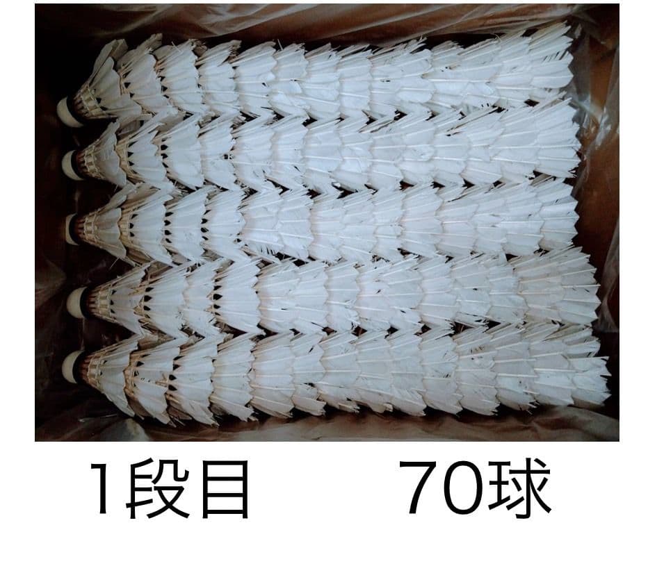中古シャトル
