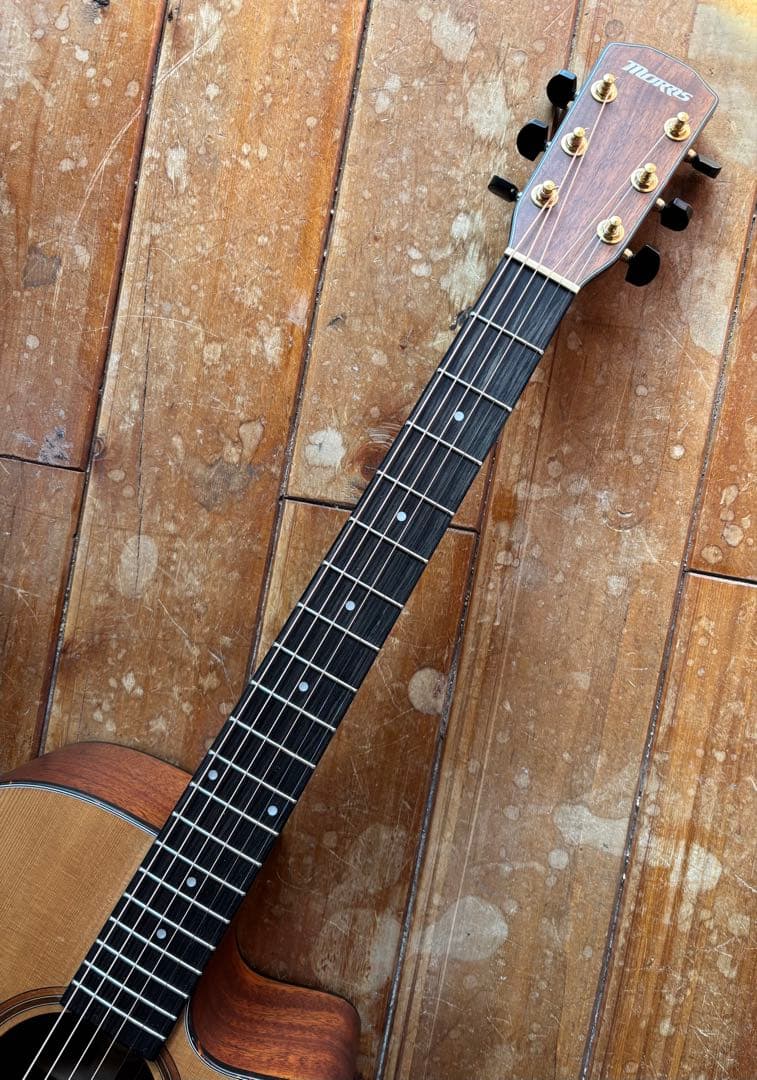 MORRIS S-031SP NAT 国内限定30本モデル 難あり格安