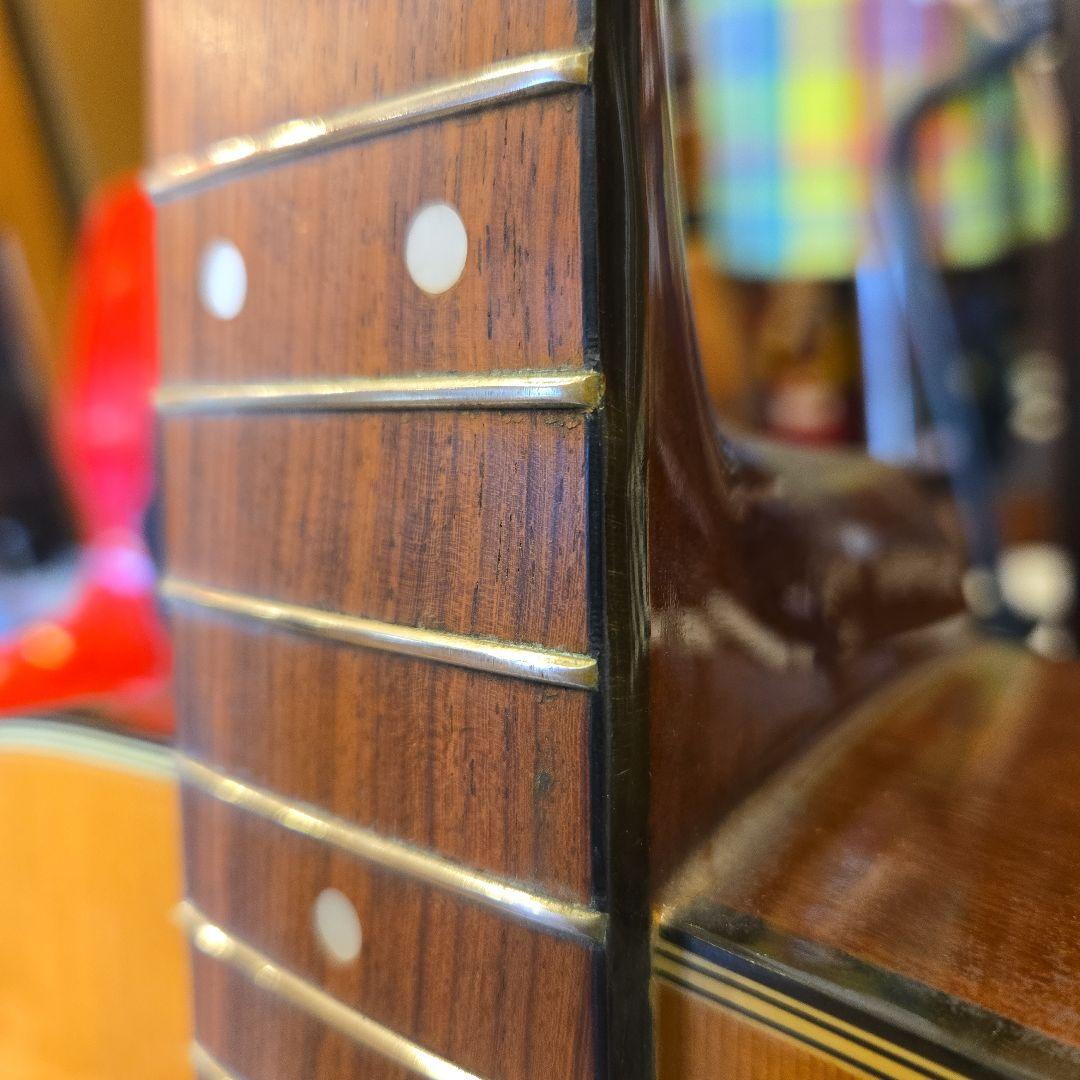 TOKAI Cat’s Eye CE-350 訳あり アコースティックギター
