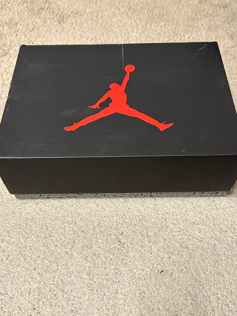 Air Jordan 5 レトロ