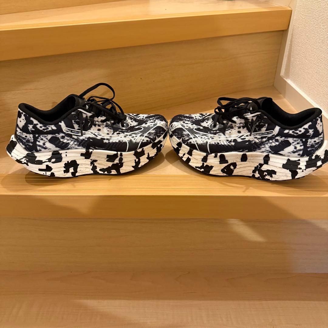 Mizuno ウェーブリベリオンプロ　25.0cm