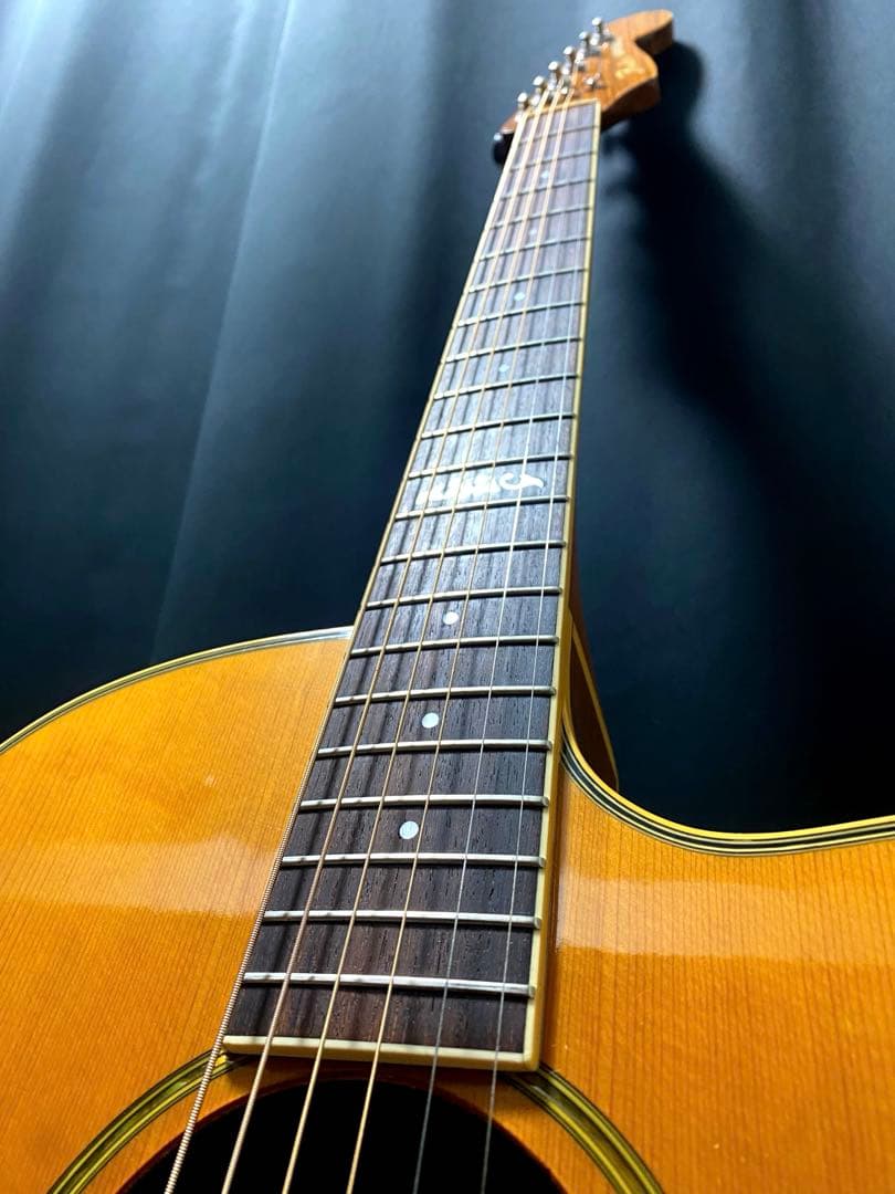 Fender アコースティックギター カッタウェイ エレアコ