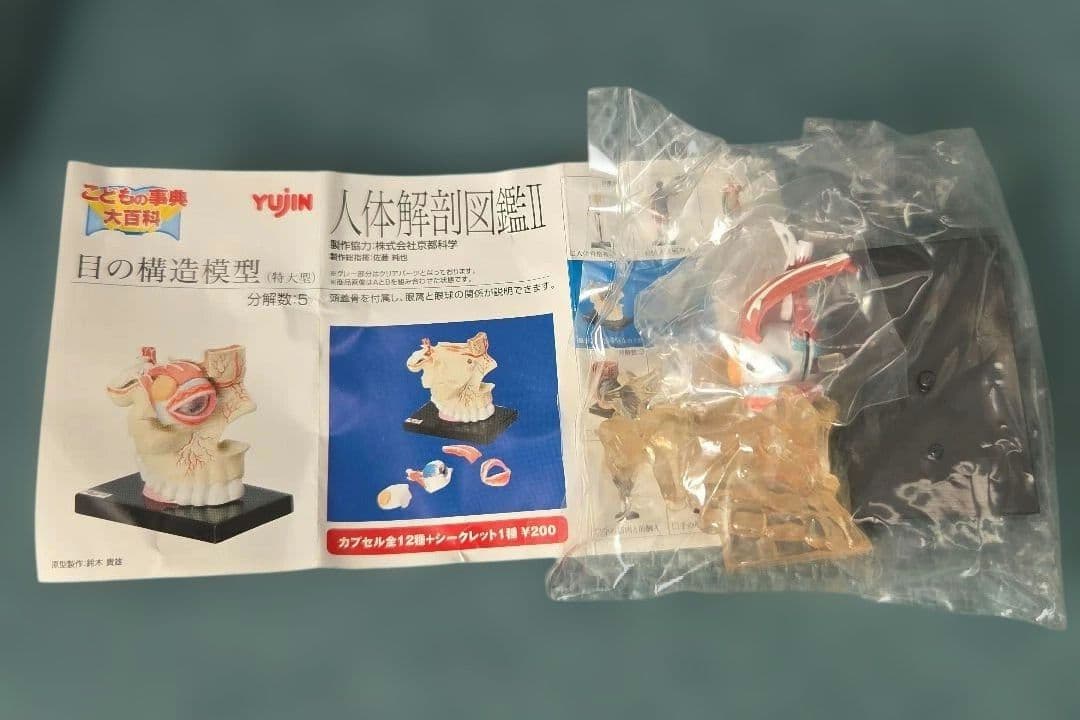 ユージン 人体解剖図鑑II 未開封 9種