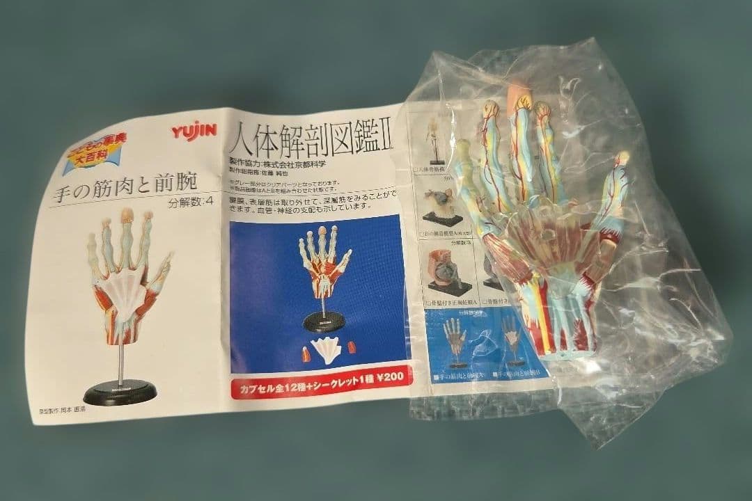 ユージン 人体解剖図鑑II 未開封 9種