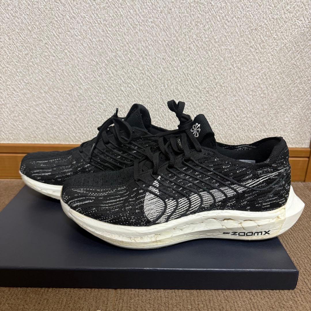極美品✨️ NIKE ナイキ ペガサスターボ ネクストネイチャー 25.5