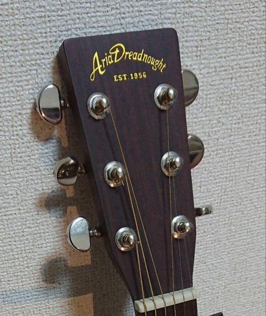 Aria Dreadnoughtアリアドレッドノート ケース付