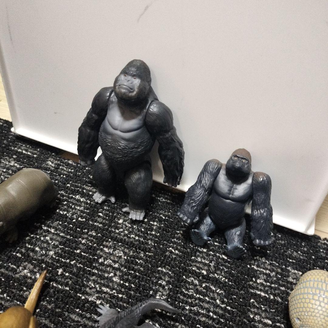 アニア動物64体