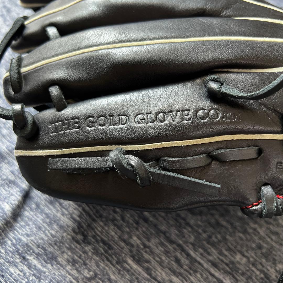Rawlings 軟式グローブ The Gold Glove Co.