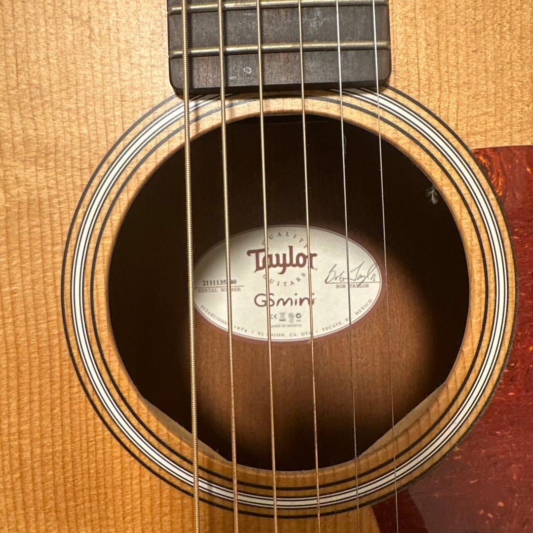 【大特価セール-9/20】Taylor Gsmint アコースティックギター
