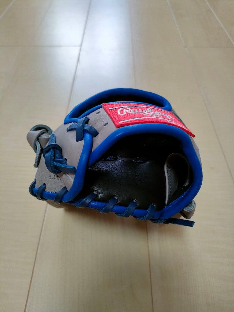 Rawlings 軟式グローブ The Gold Glove