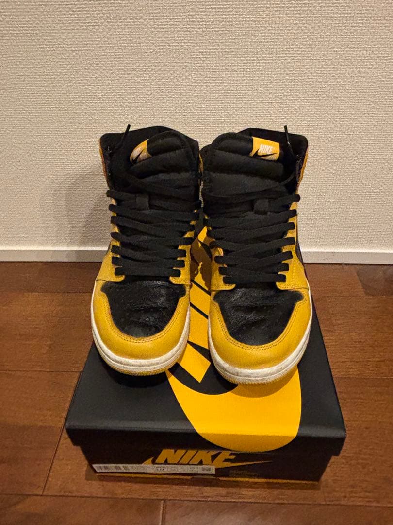 NIKE エアジョーダン 1 パラン