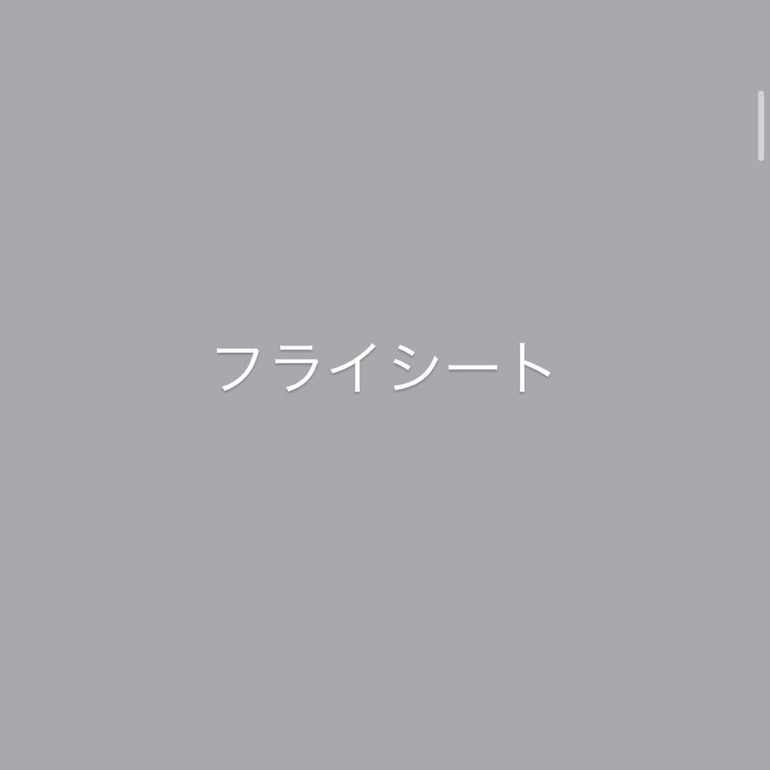 ZANE ARTS GIMORG フットプリント、フロアマット付き