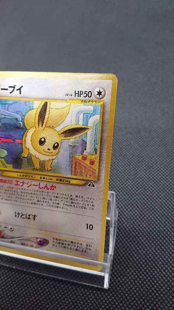 ポケモンカード 旧裏 イーブイ
