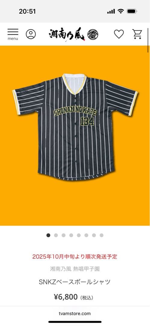 湘南乃風　甲子園　ライブ　グッズセット売り