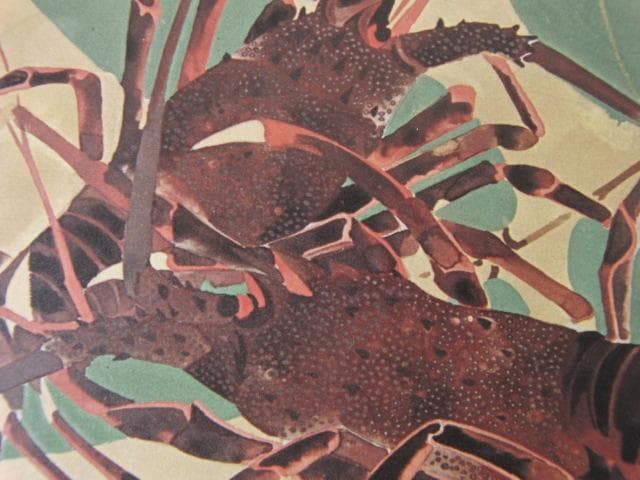 奥村土牛、【海老】、希少な大判額装用画集より、新品高級額装付