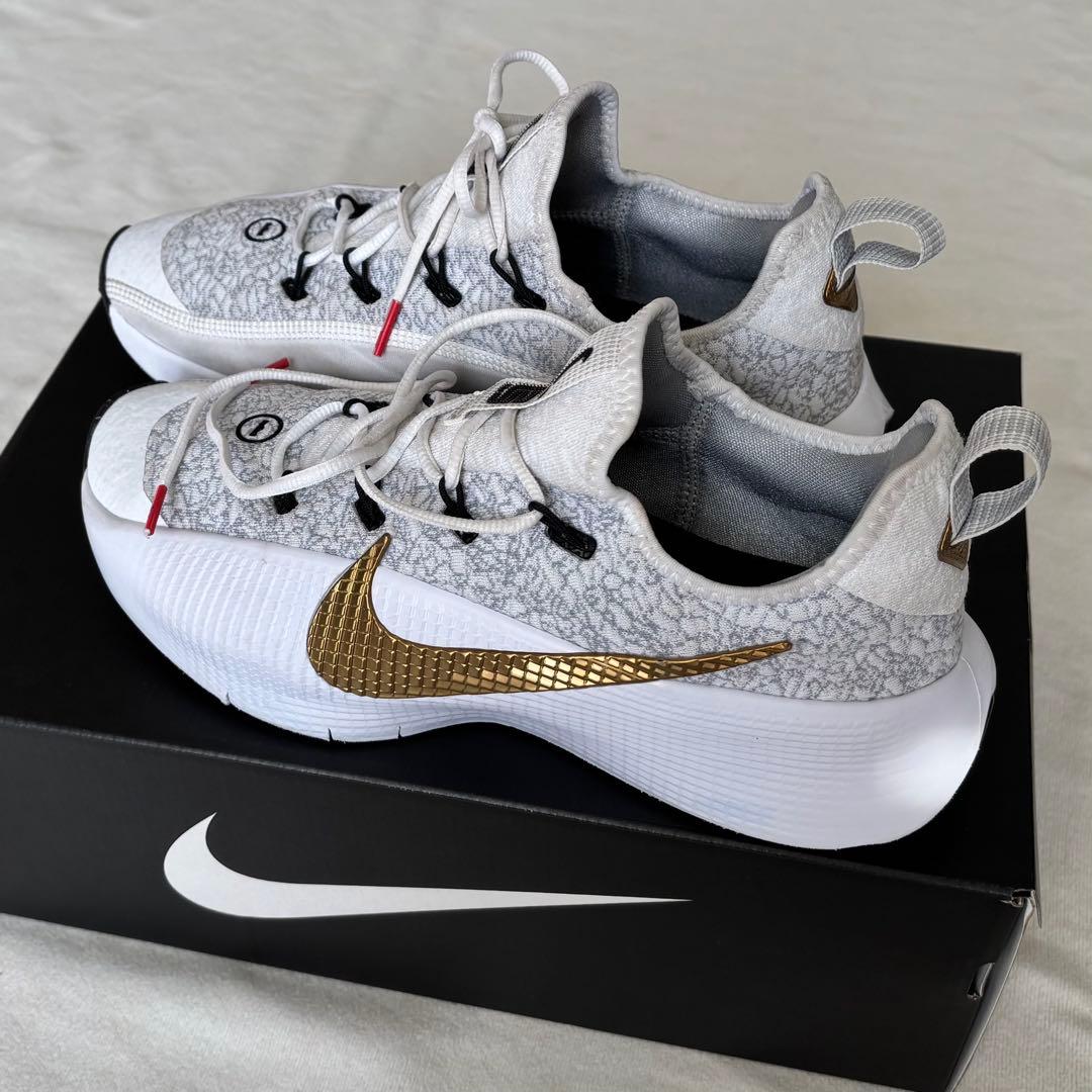 【値下げ】Nike ナイキ レブロン TR1 バスケ 27cm ホワイトゴールド