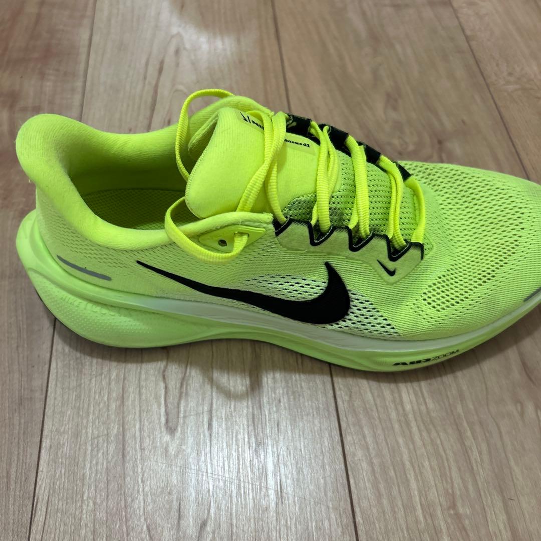 Nike ペガサス41