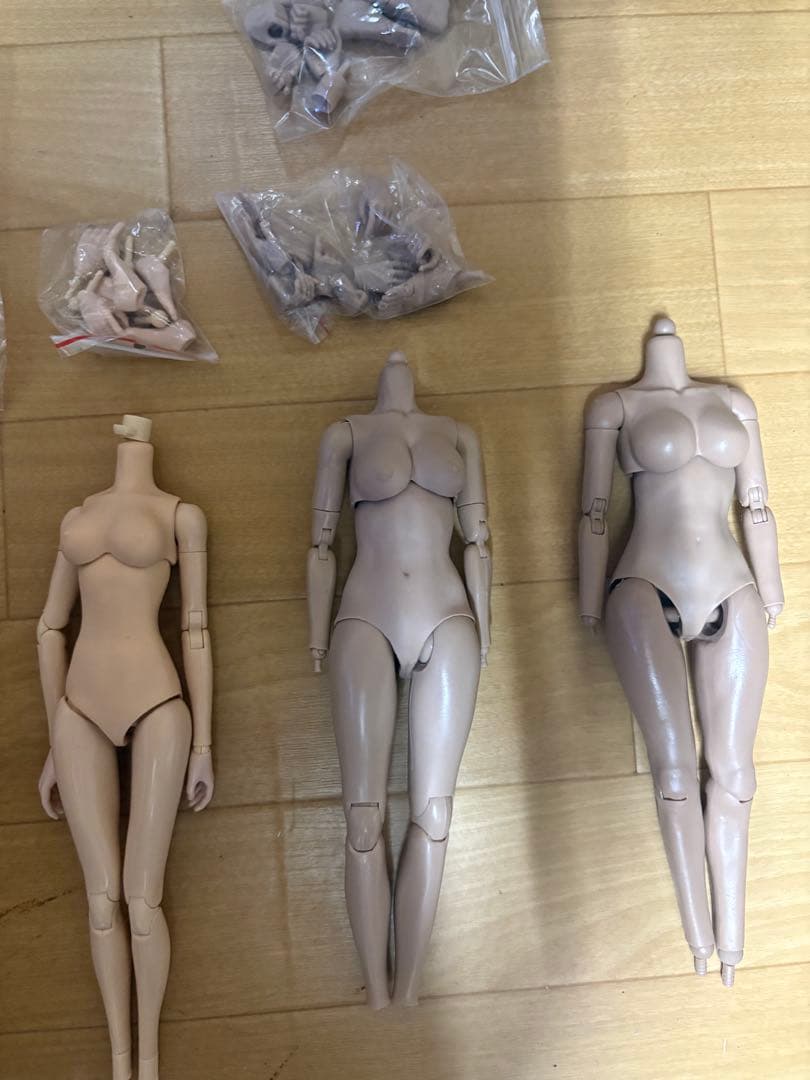 1/6 女性フィギュア素体 6体 ノーブランド